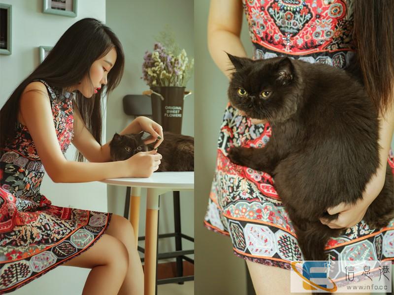 信阳摄影培训哪家好 学习摄影的方法有哪些 PS修图培训