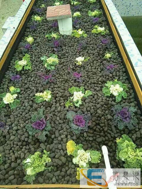 扬州陶粒,屋顶花园施工步骤