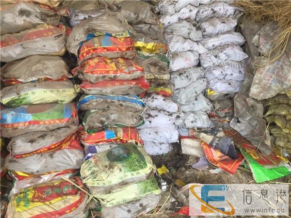 大棚架子管,种植大棚钢管,养殖围栏钢管出售批发