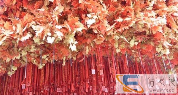 高中初中数理化辅导