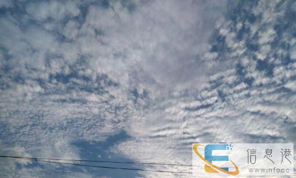 九坐面包车价格公道