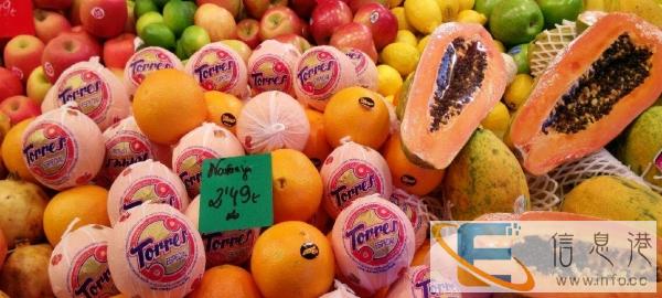 面包车，东风小康