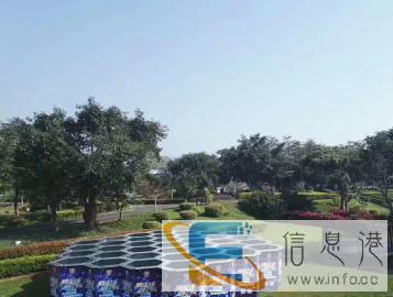 益智蜂巢迷宫厂家定制出租出售