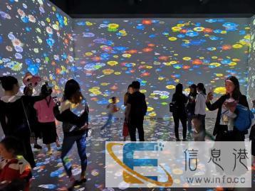 AR互动投影互动花海互动鲸鱼岛