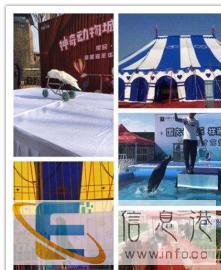 海狮表演美人鱼表演海洋生物鱼缸展出租羊驼萌宠动物展览租赁