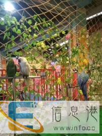 羊驼出租鹦鹉表演百鸟鱼缸水母展海狮马戏团杂技表演