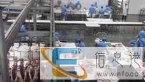 比利时澳大利亚留学签证