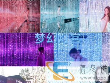 亳州球幕影院设备出租纯铁艺蜂巢迷宫租赁粉萌猪乐园