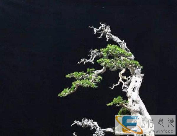 自带传祺GS4还有一个昌河面包车出租