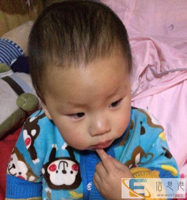 搬家 拉货 拉人 大小面包车出租