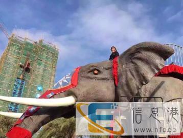 钦州感觉灵敏机械大象出租，机械大象出租出租