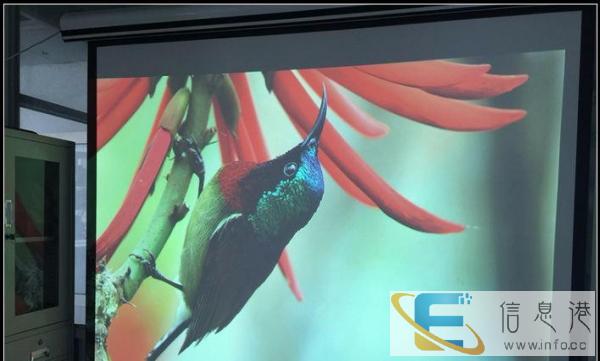 爱普生防尘投影机 教育培训 办公