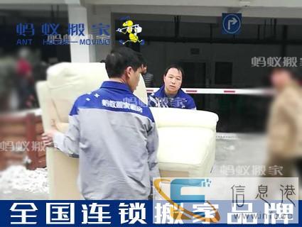 石家庄蚂蚁搬家 服务到家 搬家可人工可租车