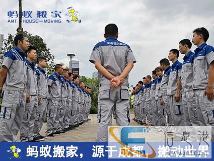 石家庄蚂蚁搬家 租客搬家 打包收纳 消毒配送一条龙