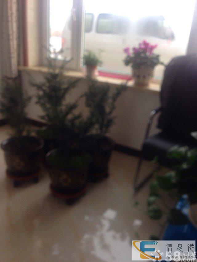 面包车接送业务拉人载货