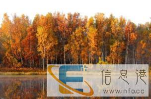 探界者与你不负秋日盛景