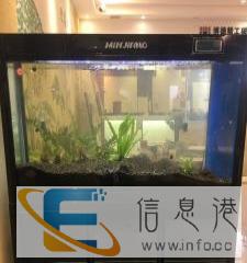 全新自动换水、清洁鱼缸