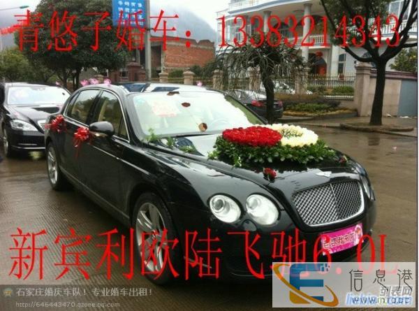 石家庄较专业婚车租赁 专业婚庆车队