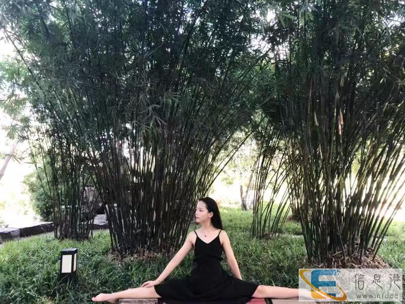 绍兴舞蹈培训哪家好