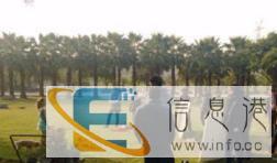 中外籍人员各种演出、明星、主持、礼仪模特等