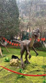 河南三门峡大型恐龙展出租价格、恐龙出租展览