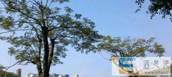 全新7座帅克面包车长期带驾出租