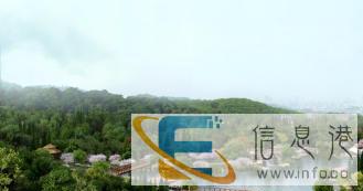 武汉顶峰景观设计制作假山假树雕塑绿植园林景观工程