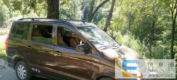 出租五菱宏光s面包车 司机