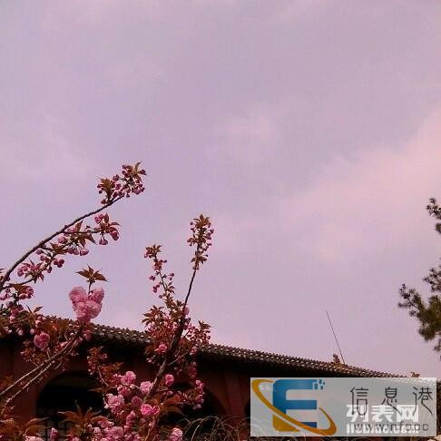 面包车出租可代驾