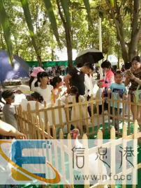 专业做动物展览、表演大量接单中.鳄鱼表演