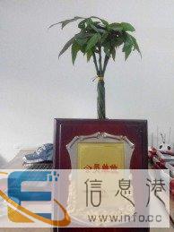 新疆康顺发达搬迁服务公司全城24小服务各类型搬家