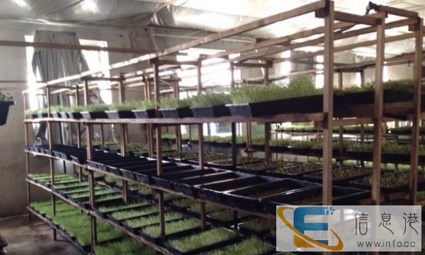 有机蔬菜全套技术设备