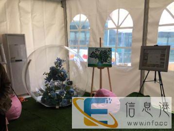 蝴蝶科普展出租蝴蝶花房蝴蝶花艺活体蝴蝶蝴蝶