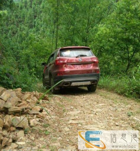 租车 代驾 婚车