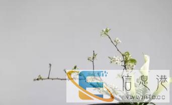 景观设计鲜花服务