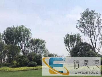 雅安园林规划哪家好