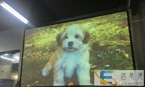 二手高清投影机NEC800 带hdmi 3d无线网络功能