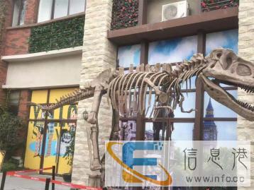 灯光展风车展航空展军事展恐龙展昆虫展卡通