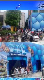 鹰潭袋鼠出租，羊驼租赁，海狮出租，萌宠展，鹦鹉表演，马戏