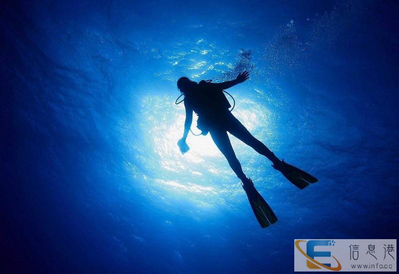 烟台潜水 乾橙潜水俱乐部 潜水培训考证