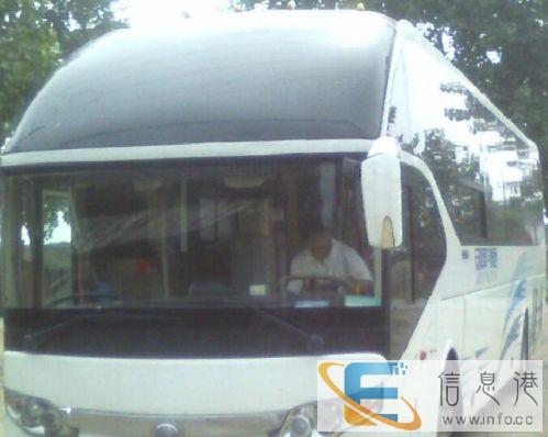 汽车 乐清到营口大巴汽车 发车时刻表 几小时到 票价多少