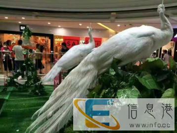 羊驼出租，萌宠动物租赁，鹦鹉表演百鸟展海洋鱼缸展览