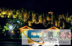 这个世界杯就让他深夜狂欢吧