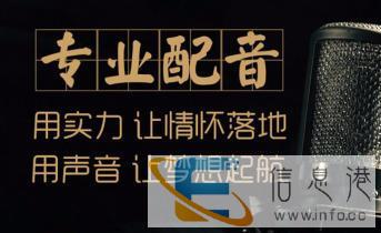 课件讲解旁白宣传片专题片党政报告配音录音