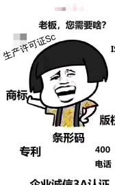 自贡专业logoVI设计