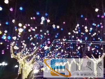 灯光节树木亮化工程生产制作公司大型花灯生产厂家 灯光节树木亮化工程生产制作公司大型花灯生产厂家