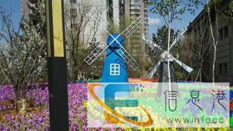 风车展卡通展稻草人展油伞展活动场地布置设计策划