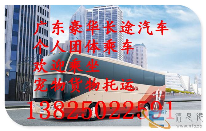 客车 深圳到张家界直达的大巴汽车 发车时刻表 价格多少 多久