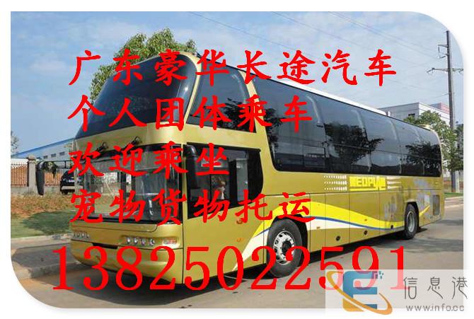 客车 东莞到张家界大巴汽车 发车时间表 几个小时能到 价格多