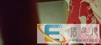 小白猫一只赠送